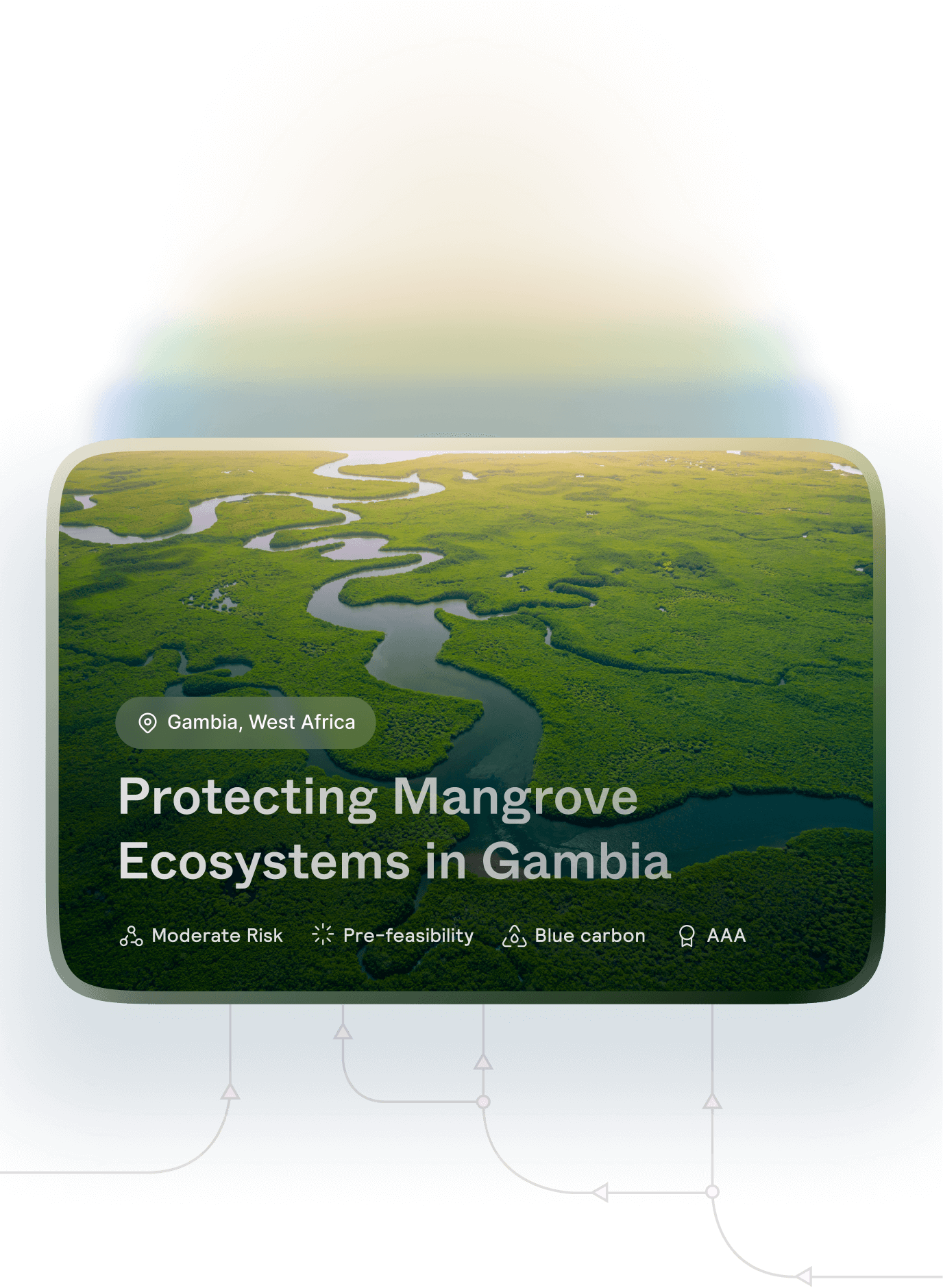 Complete mangrove project 